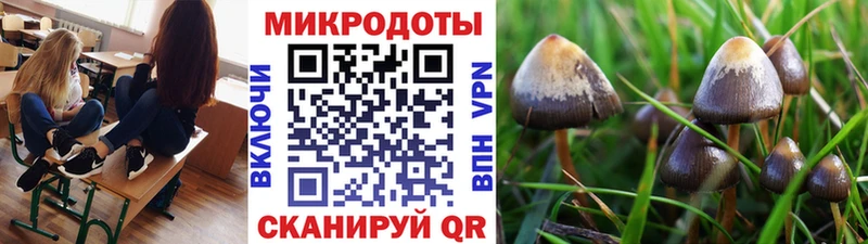 дарнет шоп  Беслан  Галлюциногенные грибы GOLDEN TEACHER 