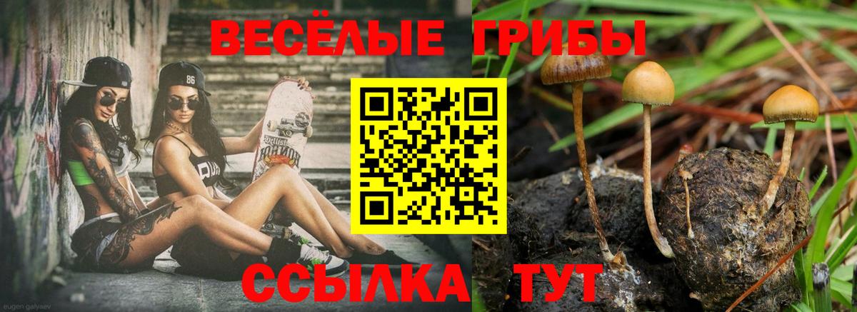 купить   Вход с VPN  Псилоцибиновые грибы Psilocybe  Беслан  Псилоцибиновые грибы ЛСД 