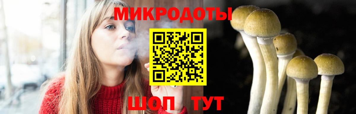 Галлюциногенные грибы мухоморы Беслан