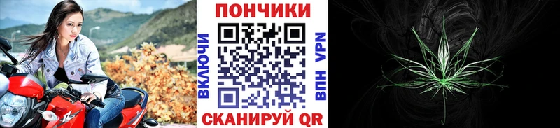 Бошки Шишки ГИДРОПОН  Беслан 